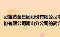 灵宝黄金集团股份有限公司南山分公司(关于灵宝黄金集团股份有限公司南山分公司的简介)