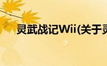 灵武战记Wii(关于灵武战记Wii的简介)