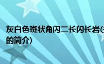 灰白色斑状角闪二长闪长岩(关于灰白色斑状角闪二长闪长岩的简介)