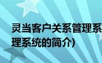 灵当客户关系管理系统(关于灵当客户关系管理系统的简介)