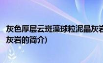 灰色厚层云斑藻球粒泥晶灰岩(关于灰色厚层云斑藻球粒泥晶灰岩的简介)