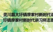 灵川县大圩镇廖家村新时代讲习所志愿服务队(关于灵川县大圩镇廖家村新时代讲习所志愿服务队的简介)