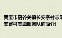 灵宝市函谷关镇长安寨村志愿服务队(关于灵宝市函谷关镇长安寨村志愿服务队的简介)