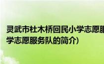 灵武市杜木桥回民小学志愿服务队(关于灵武市杜木桥回民小学志愿服务队的简介)