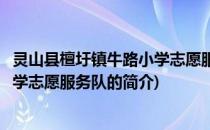 灵山县檀圩镇牛路小学志愿服务队(关于灵山县檀圩镇牛路小学志愿服务队的简介)