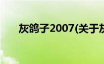 灰鸽子2007(关于灰鸽子2007的简介)