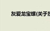 灰爱龙宝螺(关于灰爱龙宝螺的简介)