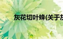 灰花切叶蜂(关于灰花切叶蜂的简介)