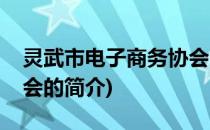 灵武市电子商务协会(关于灵武市电子商务协会的简介)