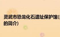 灵武市恐龙化石遗址保护馆(关于灵武市恐龙化石遗址保护馆的简介)