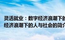 灵活就业：数字经济浪潮下的人与社会(关于灵活就业：数字经济浪潮下的人与社会的简介)