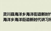 灵川县海洋乡海洋街道新时代讲习所志愿服务队(关于灵川县海洋乡海洋街道新时代讲习所志愿服务队的简介)