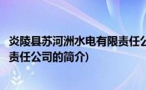 炎陵县苏河洲水电有限责任公司(关于炎陵县苏河洲水电有限责任公司的简介)