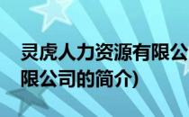 灵虎人力资源有限公司(关于灵虎人力资源有限公司的简介)