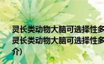 灵长类动物大脑可选择性多聚腺苷化位点的适应性进化(关于灵长类动物大脑可选择性多聚腺苷化位点的适应性进化的简介)