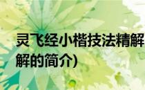 灵飞经小楷技法精解(关于灵飞经小楷技法精解的简介)