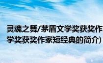 灵魂之舞/茅盾文学奖获奖作家短经典(关于灵魂之舞/茅盾文学奖获奖作家短经典的简介)