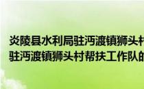 炎陵县水利局驻沔渡镇狮头村帮扶工作队(关于炎陵县水利局驻沔渡镇狮头村帮扶工作队的简介)