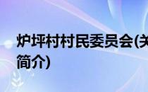 炉坪村村民委员会(关于炉坪村村民委员会的简介)