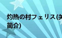 灼热の村フェリス(关于灼热の村フェリス的简介)