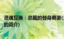 灵魂互换：总裁的替身萌妻(关于灵魂互换：总裁的替身萌妻的简介)