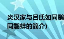 炎汉家与吕氏如同鹬蚌(关于炎汉家与吕氏如同鹬蚌的简介)