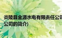 炎陵县金源水电有限责任公司(关于炎陵县金源水电有限责任公司的简介)