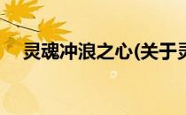 灵魂冲浪之心(关于灵魂冲浪之心的简介)