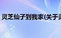 灵芝仙子到我家(关于灵芝仙子到我家的简介)