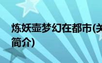 炼妖壶梦幻在都市(关于炼妖壶梦幻在都市的简介)