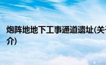 炮阵地地下工事通道遗址(关于炮阵地地下工事通道遗址的简介)