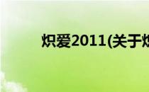 炽爱2011(关于炽爱2011的简介)