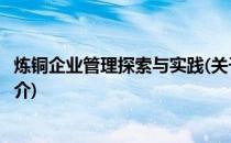 炼铜企业管理探索与实践(关于炼铜企业管理探索与实践的简介)