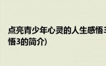 点亮青少年心灵的人生感悟3(关于点亮青少年心灵的人生感悟3的简介)