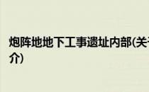 炮阵地地下工事遗址内部(关于炮阵地地下工事遗址内部的简介)