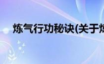 炼气行功秘诀(关于炼气行功秘诀的简介)