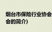 烟台市保险行业协会(关于烟台市保险行业协会的简介)