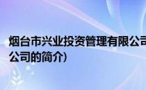 烟台市兴业投资管理有限公司(关于烟台市兴业投资管理有限公司的简介)