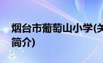 烟台市葡萄山小学(关于烟台市葡萄山小学的简介)