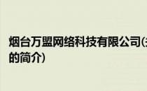 烟台万盟网络科技有限公司(关于烟台万盟网络科技有限公司的简介)