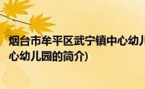 烟台市牟平区武宁镇中心幼儿园(关于烟台市牟平区武宁镇中心幼儿园的简介)