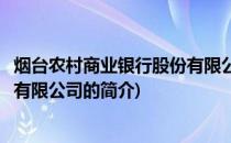 烟台农村商业银行股份有限公司(关于烟台农村商业银行股份有限公司的简介)