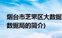 烟台市芝罘区大数据局(关于烟台市芝罘区大数据局的简介)