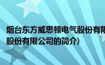 烟台东方威思顿电气股份有限公司(关于烟台东方威思顿电气股份有限公司的简介)