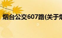 烟台公交607路(关于烟台公交607路的简介)