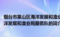 烟台市莱山区海洋发展和渔业局服务队(关于烟台市莱山区海洋发展和渔业局服务队的简介)