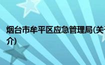 烟台市牟平区应急管理局(关于烟台市牟平区应急管理局的简介)