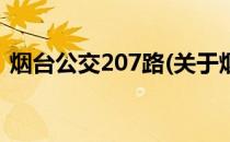 烟台公交207路(关于烟台公交207路的简介)