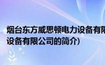 烟台东方威思顿电力设备有限公司(关于烟台东方威思顿电力设备有限公司的简介)