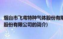 烟台市飞鸢特种气体股份有限公司(关于烟台市飞鸢特种气体股份有限公司的简介)